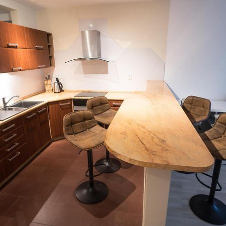 Apartment Vodni With Parking Brno Dış mekan fotoğraf