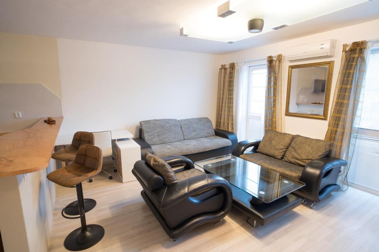 Apartment Vodni With Parking Brno Dış mekan fotoğraf