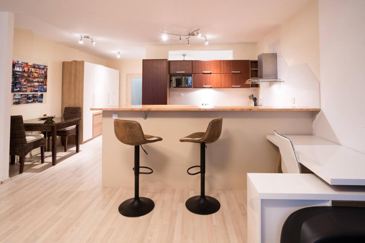 Apartment Vodni With Parking Brno Dış mekan fotoğraf