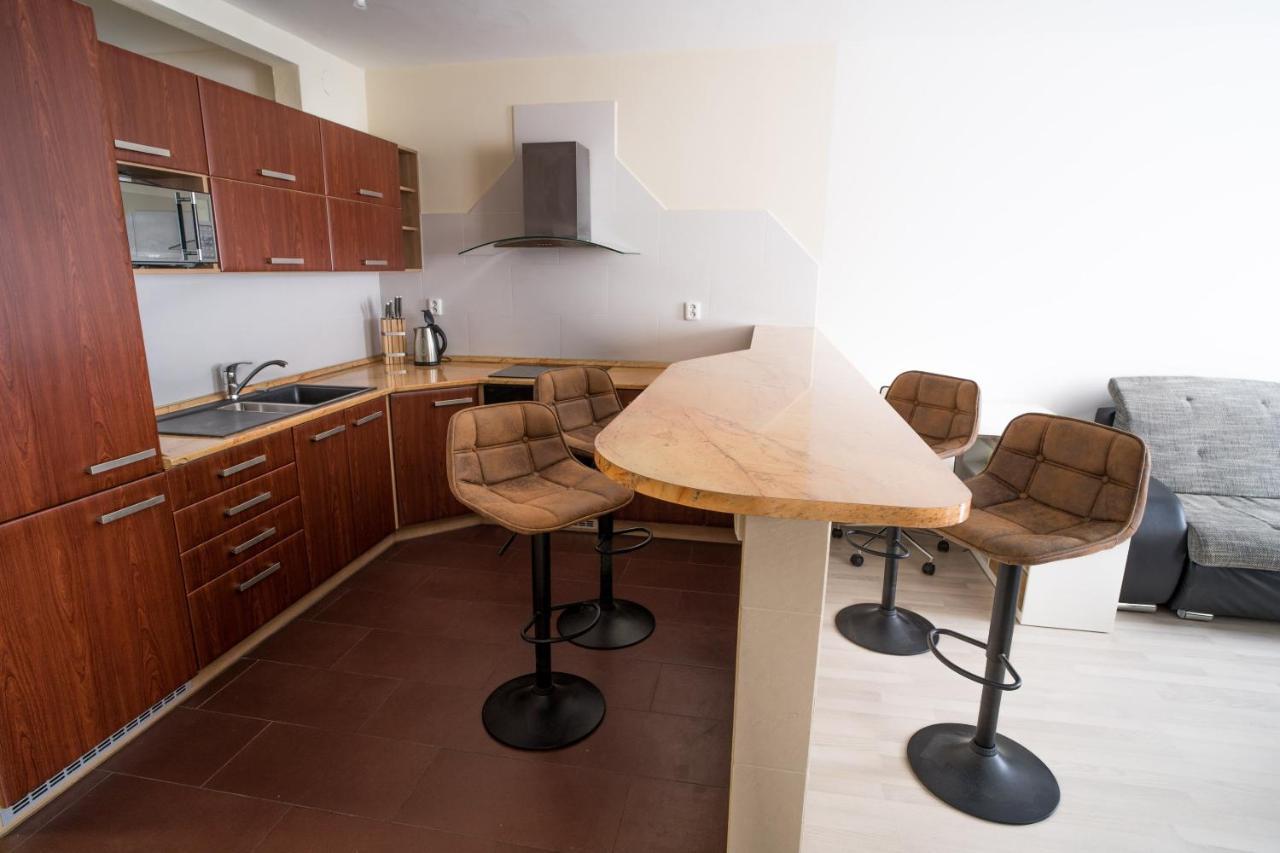 Apartment Vodni With Parking Brno Dış mekan fotoğraf