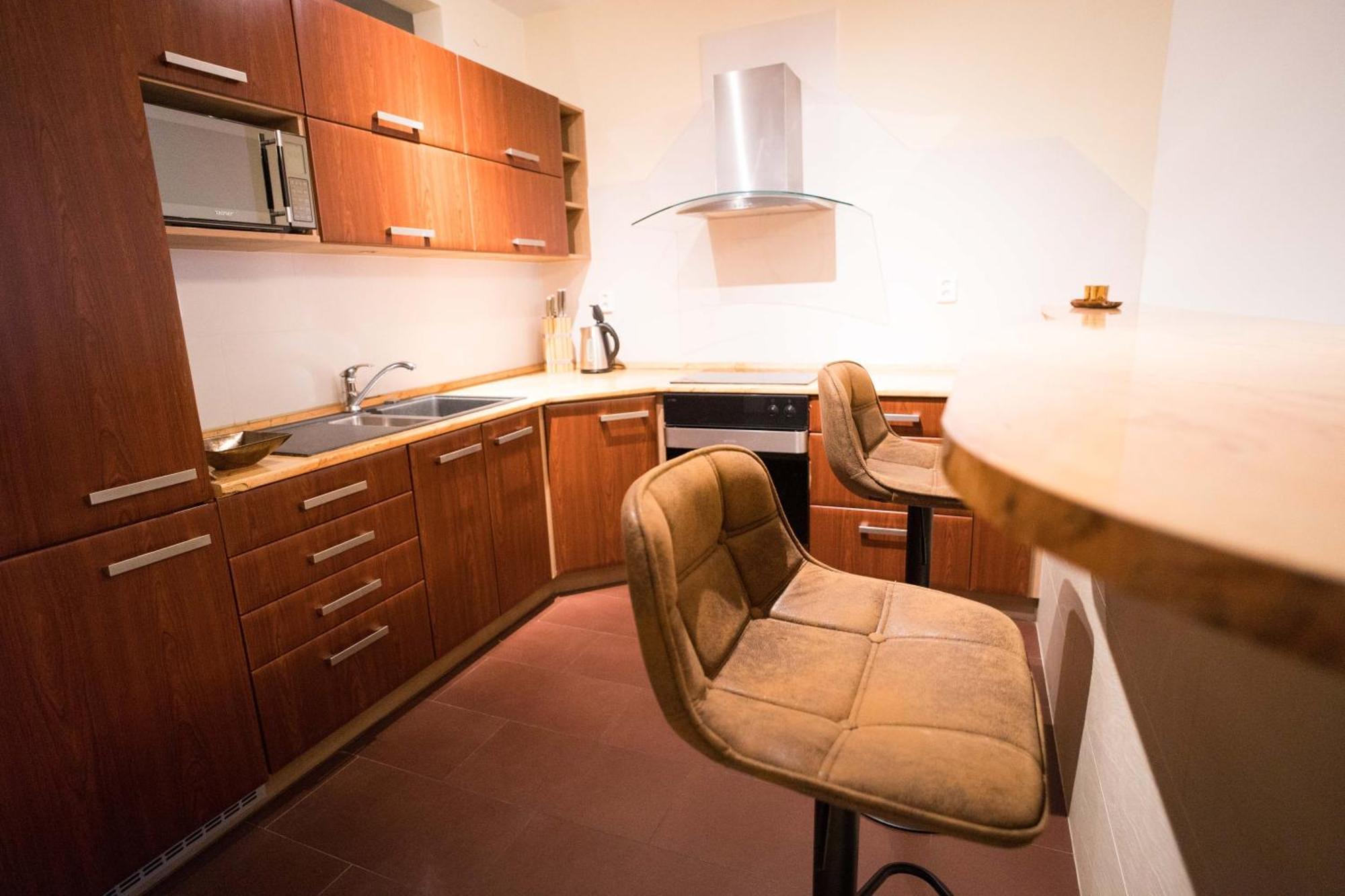 Apartment Vodni With Parking Brno Dış mekan fotoğraf